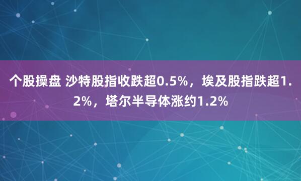 个股操盘 沙特股指收跌超0.5%，埃及股指跌超1.2%，塔尔半导体涨约1.2%