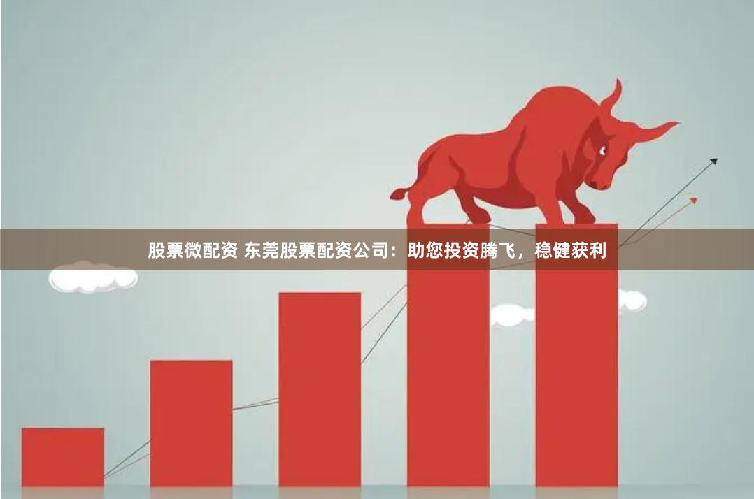 股票微配资 东莞股票配资公司：助您投资腾飞，稳健获利