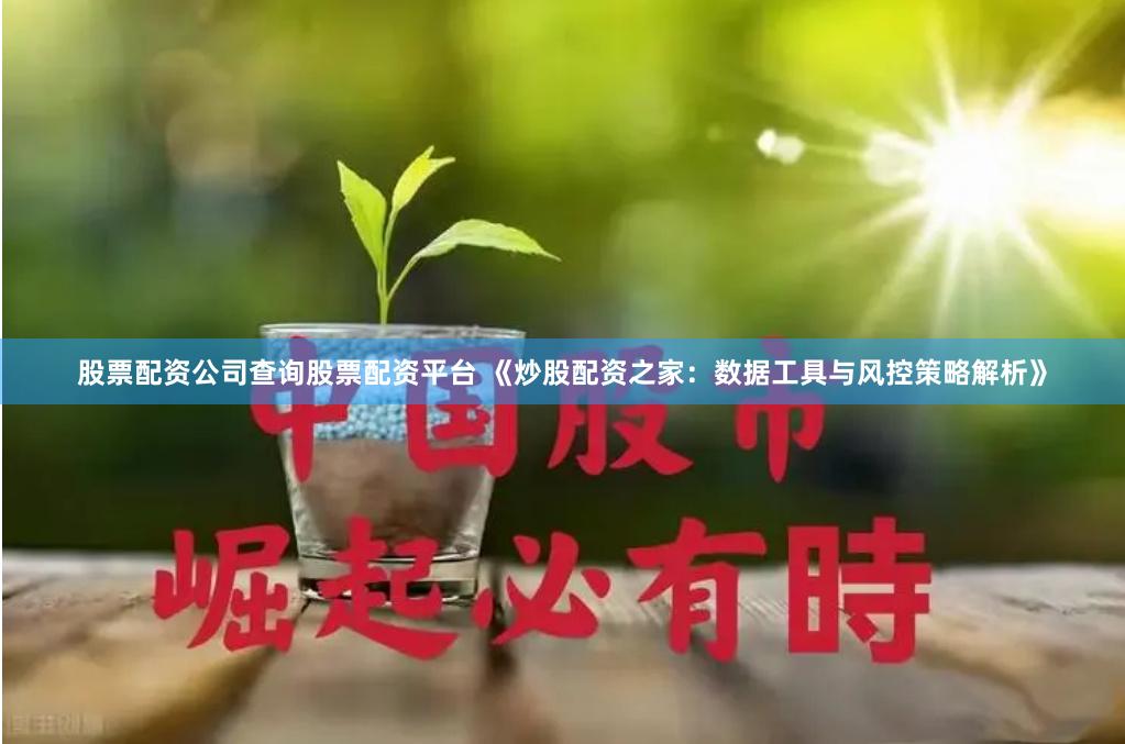 股票配资公司查询股票配资平台 《炒股配资之家：数据工具与风控策略解析》